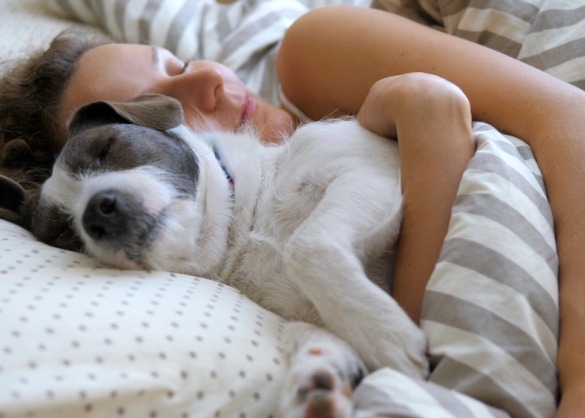 Vrouw knuffelt met hond in bed