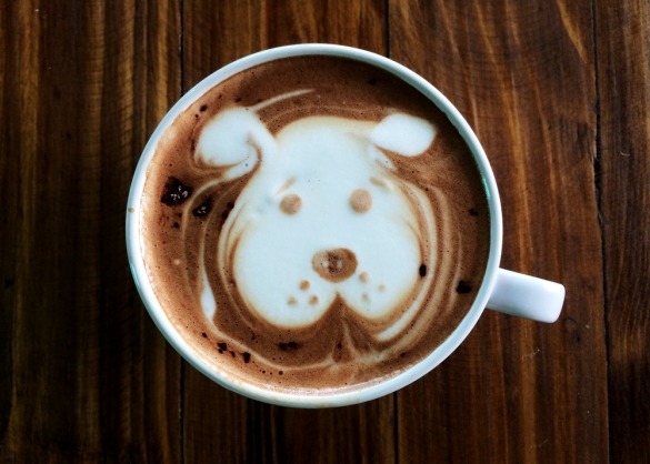 Hond in melkroom in een kop koffie