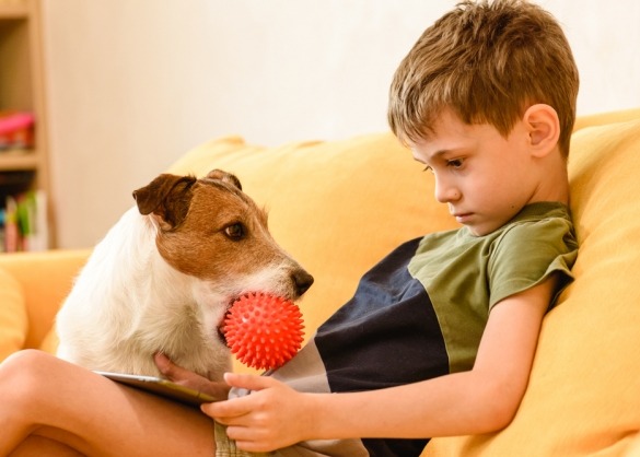 Hond met bal in mond wil aandacht van lezend jongetje in zetel