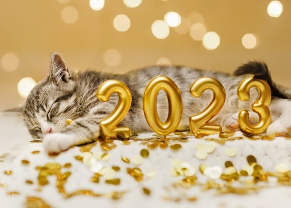 Kat met gouden, opblaasbare 2023