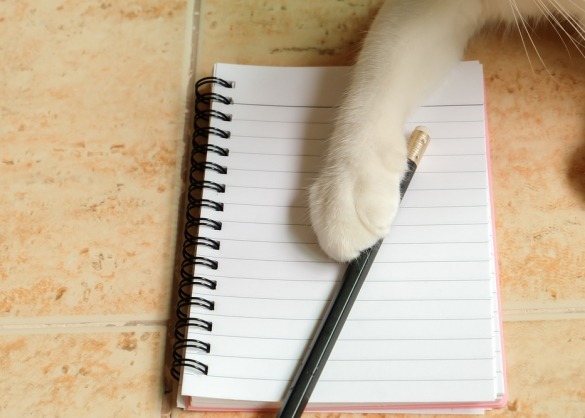 Kattenpoot raakt potlood op schriftje aan