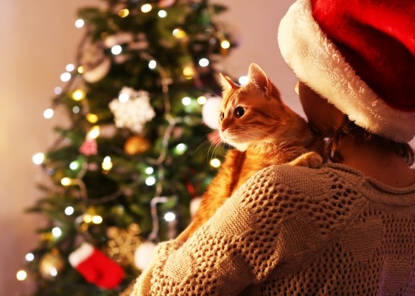Kat in armen van meisje met kerstmuts kijkt naar versierde kerstboom 