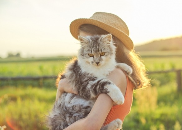 Kat in armen van meisje met hoed op zonnige dag 
