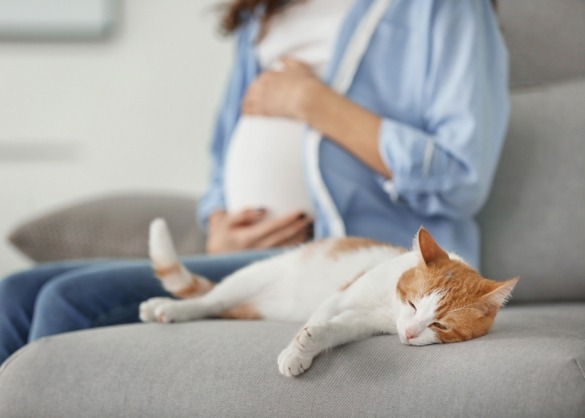 Kat met zwangere vrouw