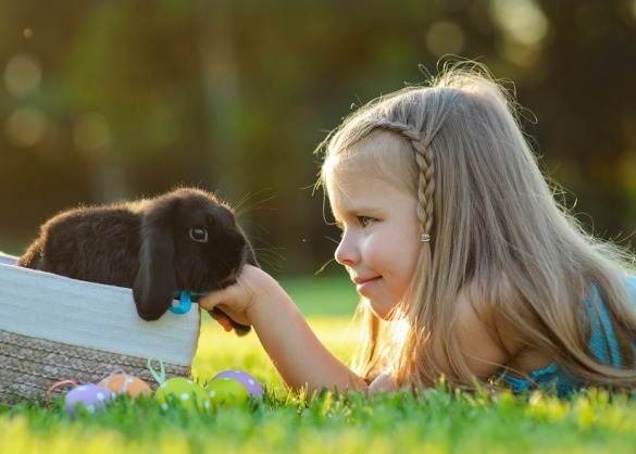 Meisje met zwart konijn in het gras