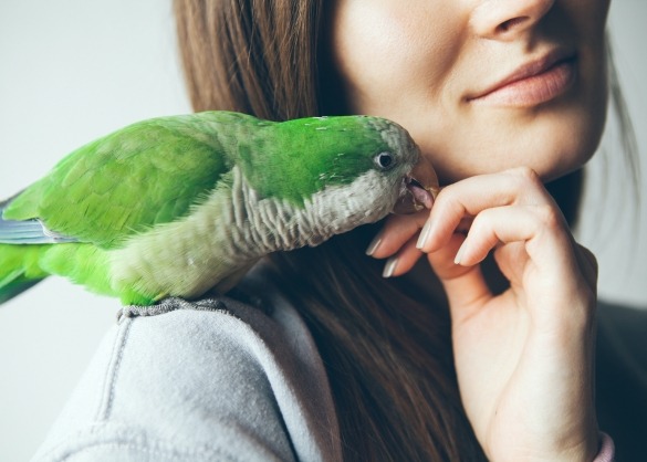 Vrouw met groene papegaai op schouder