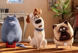 The Secret Life of Pets