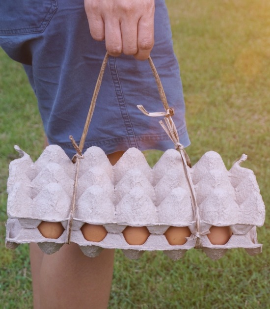 Man draagt karton met eieren 