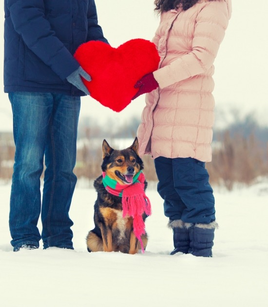 Hond in sneeuw tussen twee eigenaars die hart vasthouden