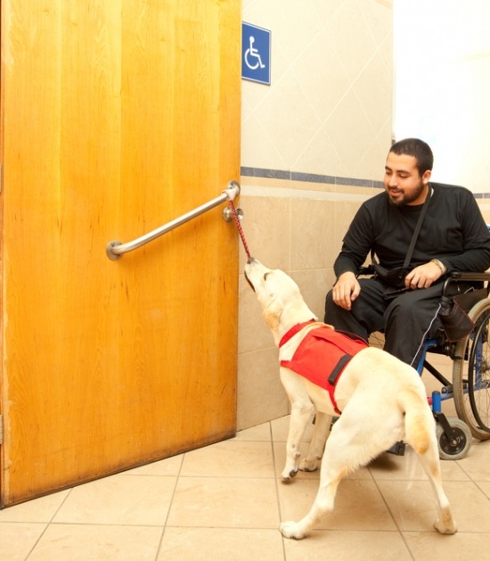 Hond doet deur open voor man in rolstoel