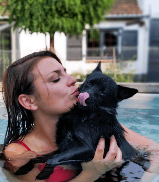 Vrouw kust hondje in zwembad