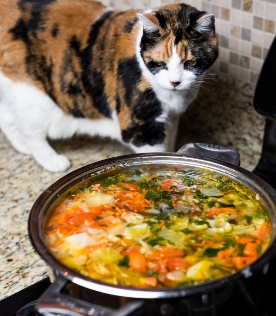 Kat zit naast het kookvuur bij een overvolle pot soep
