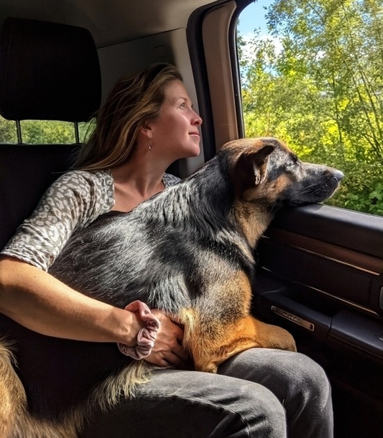Vrouw zit met hond op achterbank