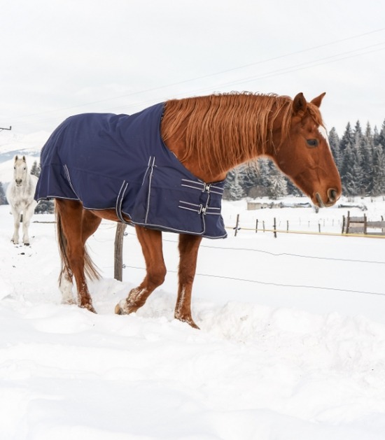 Paard winterdeken
