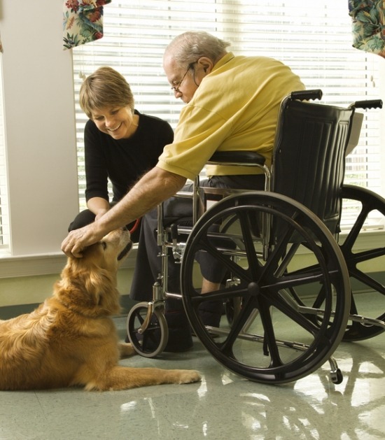 Begeleider laat hond aaien door oude man in rolstoel