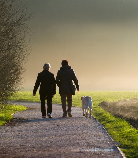 Twee mensen wandelen met aangelijnde hond bij zonsondergang 