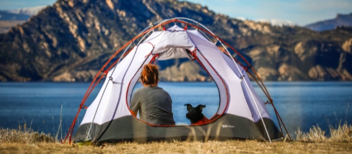 Hond met baasje in een tent Hond met baasje in een tent