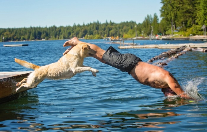 Man duikt in het water samen met zijn hond