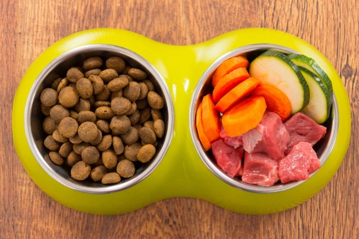 Eetbakje hond met droge brokjes, vers vlees en groenten