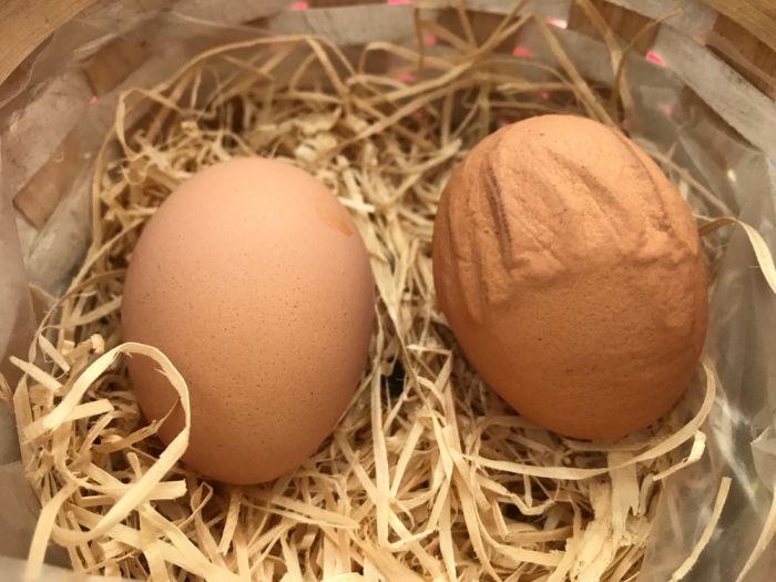 Twee kippeneieren in een mandje waarvan eentje een geribbelde schaal heeft