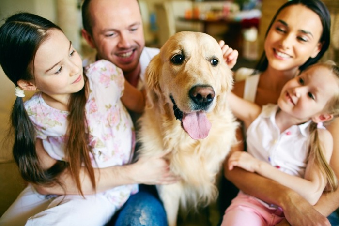 Golden retriever met familie