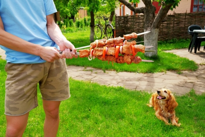 Man houdt brochettes vast met hond op de achtergrond