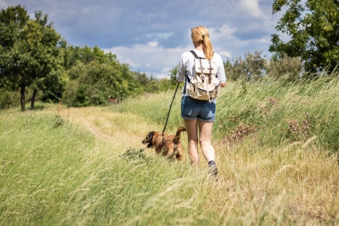 Vrouw wandelt met hond aan de leiband in de natuur