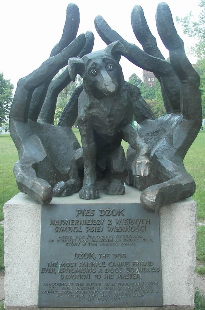 Standbeeld van hond Dżok in Krakau