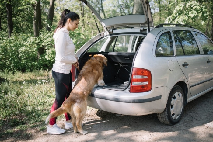 Vrouw laat hond in open autokoffer stappen