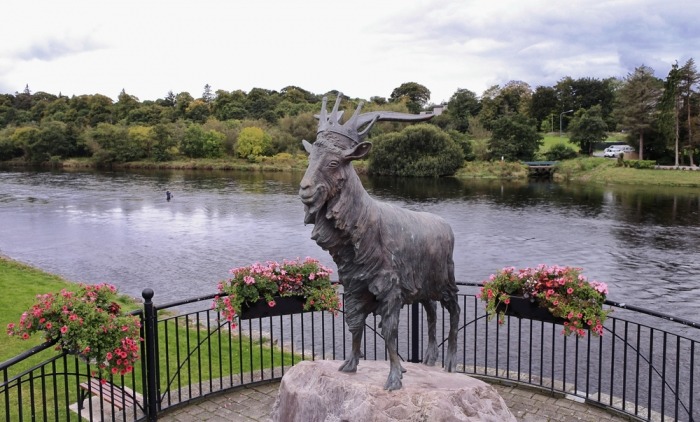 Standbeeld King Puck in Killorglin Standbeeld King Puck in Killorglin