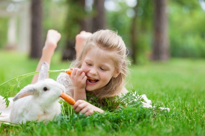 Meisje met konijn en wortel in het gras