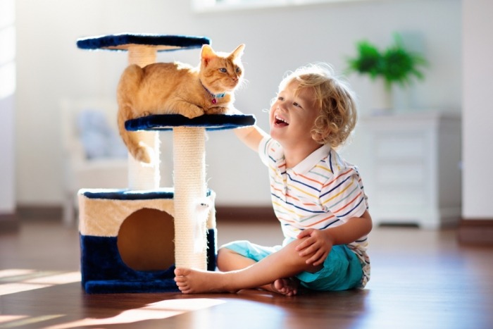 Dieren maken ons gelukkig Jongen met kat