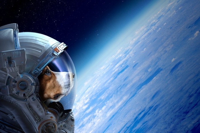 Hond in astronautenpak met aarde op de achtergrond