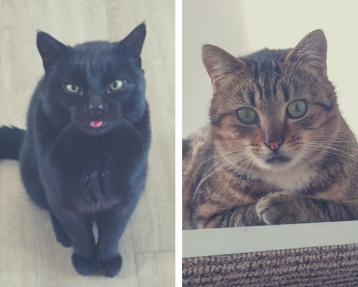 Smokey en Tammy Smokey en Tammy