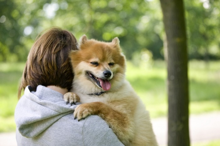 Vrouw draagt hond Vrouw draagt hond