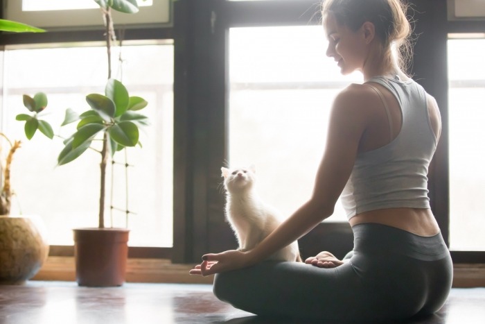 Vrouw doet yoga op de vloer terwijl witte kat toekijkt
