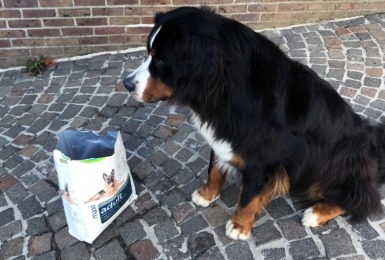 Maurice doet de smaaktest 