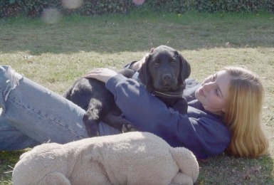 labrador met baasje