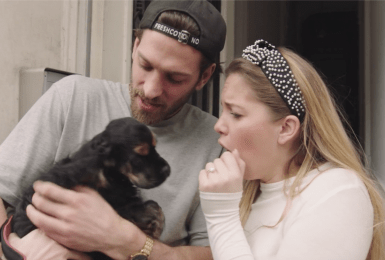 Bab en Vincent ontmoeten hun puppy Chewie