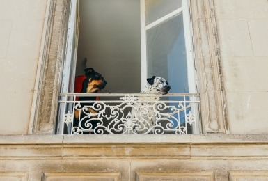 een_hond_op_appartement_zo_doe_je_dat