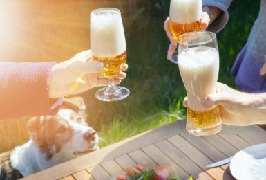 Klinken met pintjes en een hond