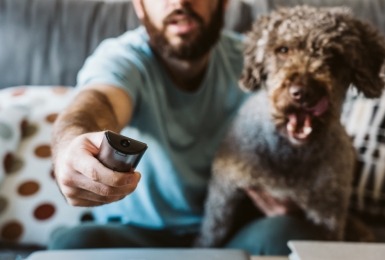 Hondenfilms kijken met je hond 