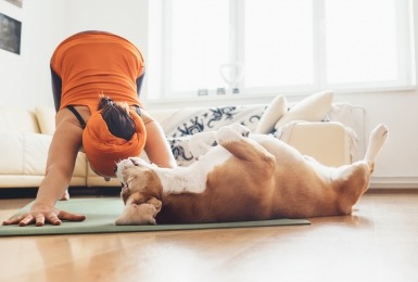 hondenyoga_ bestaat_dat
