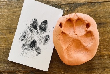 Pootafdruk met inkt en met klei