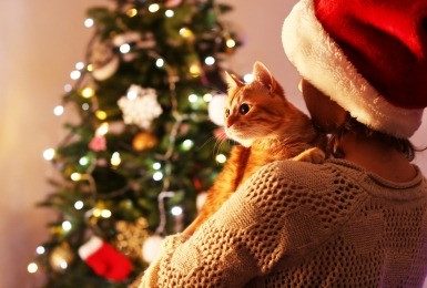 Kat in armen van meisje met kerstmuts kijkt naar versierde kerstboom 