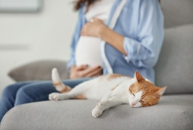 Kat met zwangere vrouw