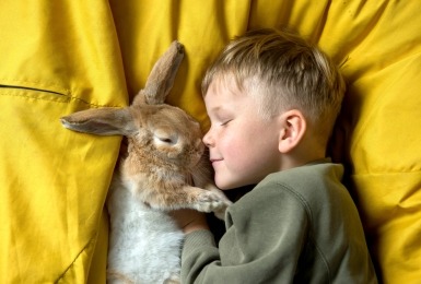Jongen met konijn