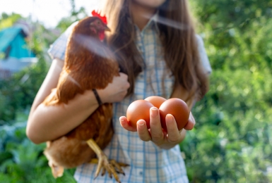 Meisje draagt bruine kip en houdt eieren in haar hand