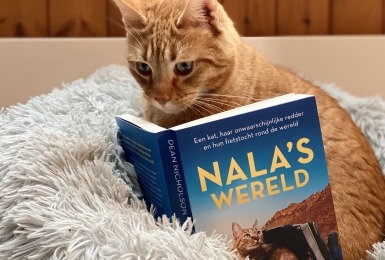 Rosse kat leest in boek Nala's wereld 