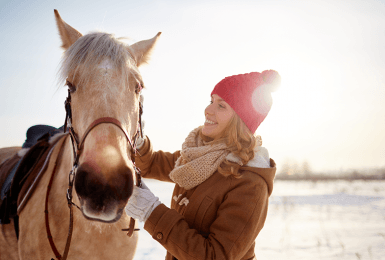 Paard in de winter
